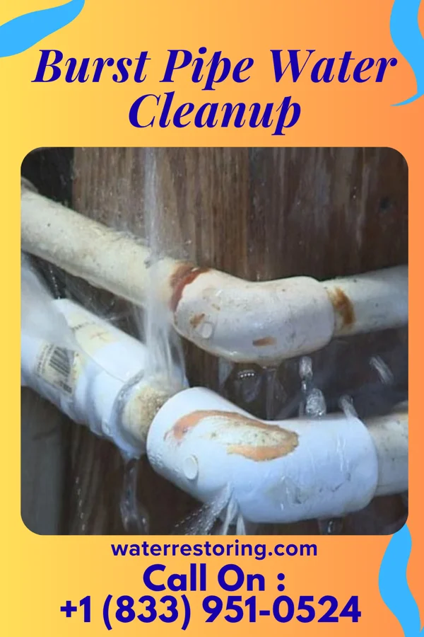 Burst Pipe Water Cleanup in Los Cerrillos, NM