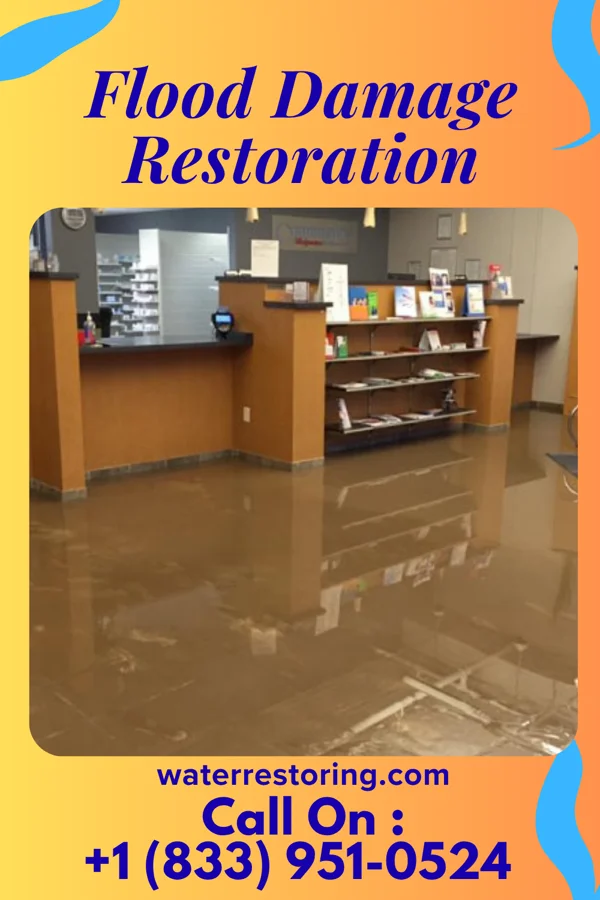 Flood Damage Restoration in Los Cerrillos, NM